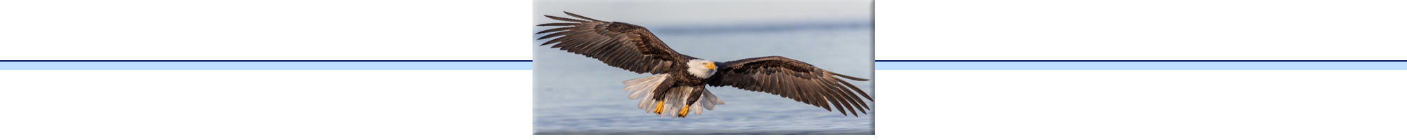 Eagles 2